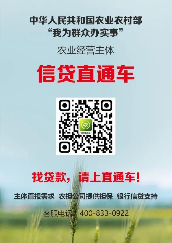 信貸直通車.jpg 信貸直通車.jpg
